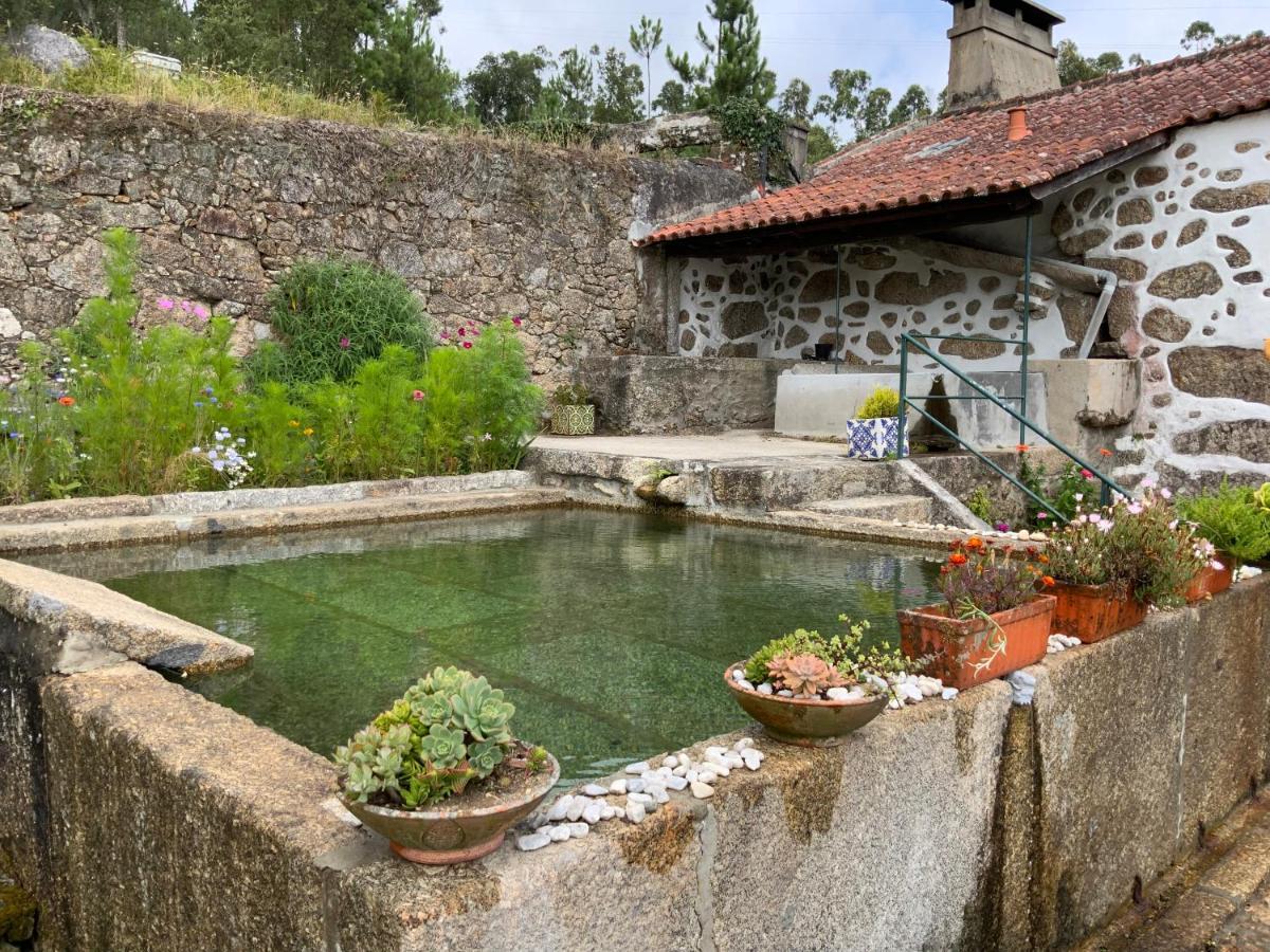 Вілла Quinta Do Bravio Barroselas Екстер'єр фото
