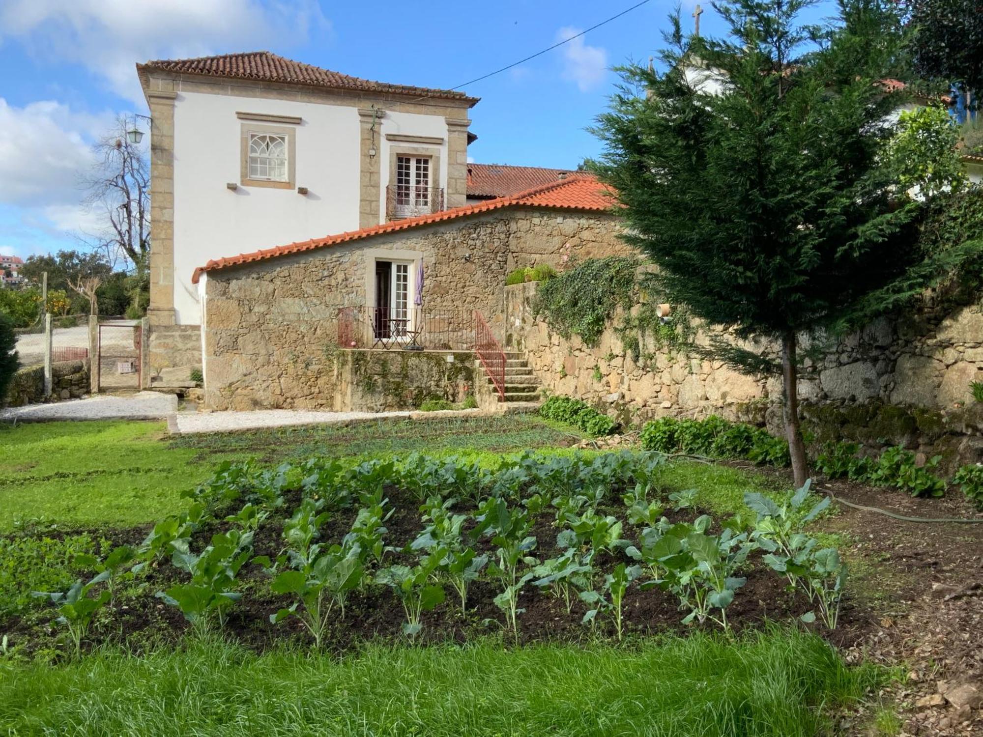 Вілла Quinta Do Bravio Barroselas Екстер'єр фото