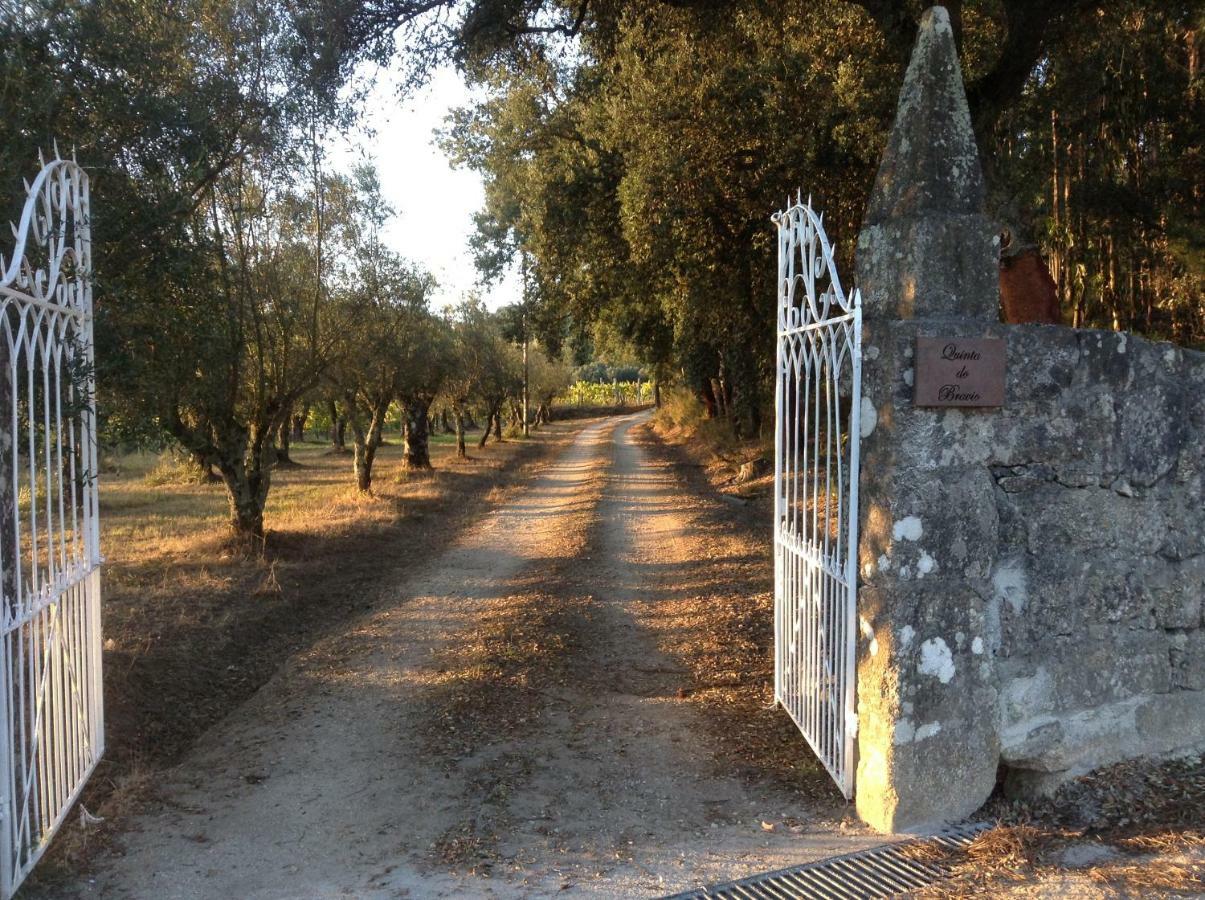 Вілла Quinta Do Bravio Barroselas Екстер'єр фото